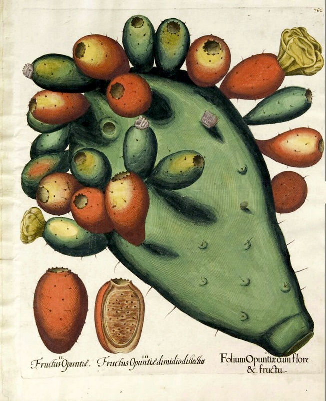 propiedades de los chumbos