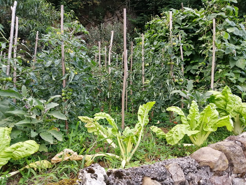 Huerto cántabro