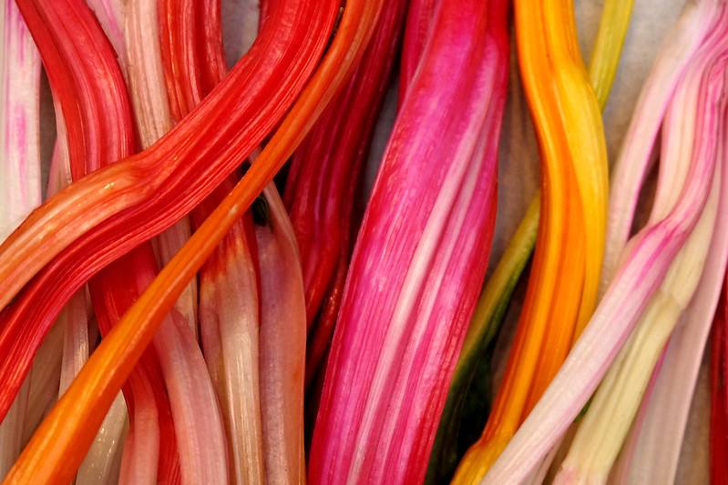 Acelga de colores