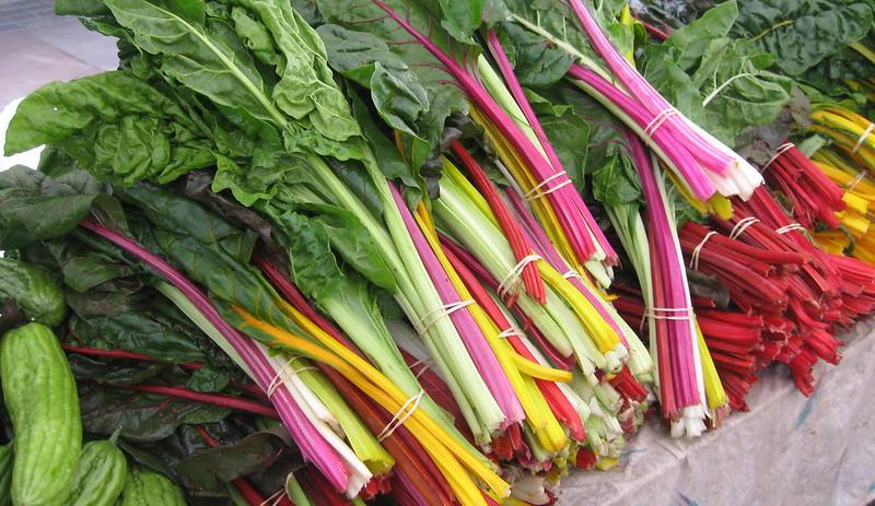 Ramilletes de acelgas de colores